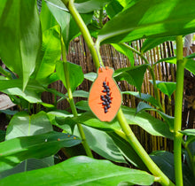 Load image into Gallery viewer, Papaya earrings