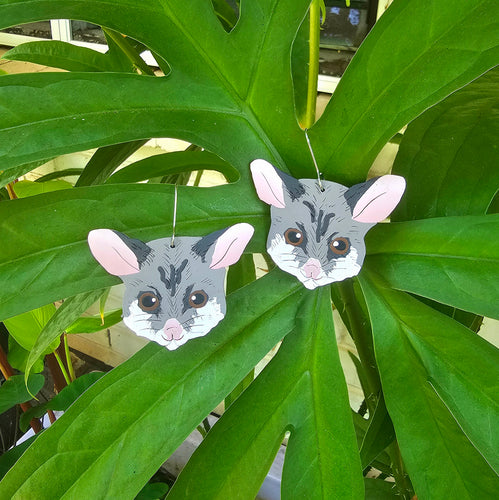 Possum earrings