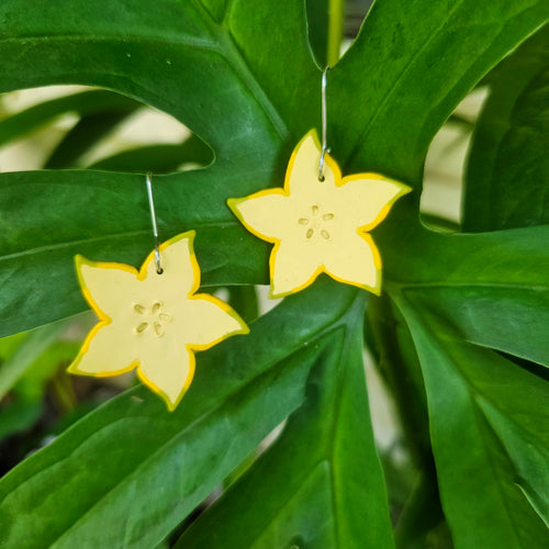 Starfruit earrings