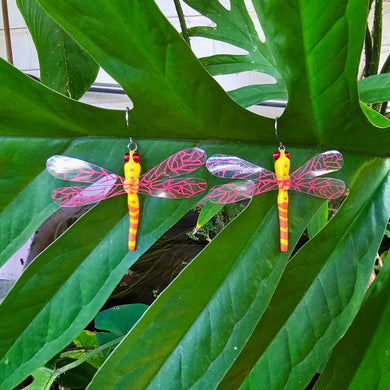 Dragonfly earrings