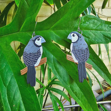 Load image into Gallery viewer, Double Barred finch earrings