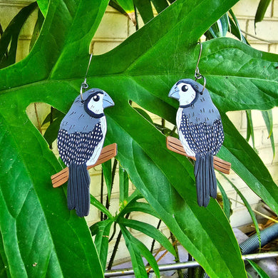 Double Barred finch earrings